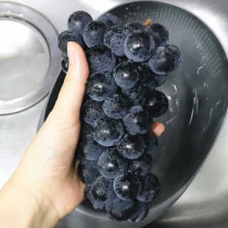 베지아쿠아 475ml + 리필 1000ml 1Set — 5점을 준 리뷰어가 2019년 8월 올린 사용 사진
