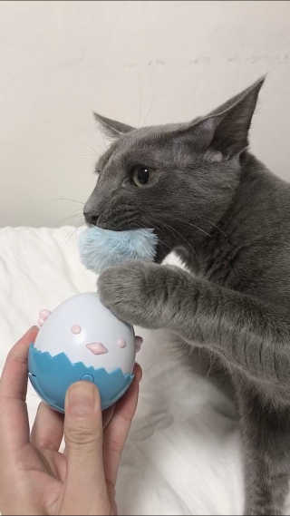 효성님이 올린 리뷰 사진 4