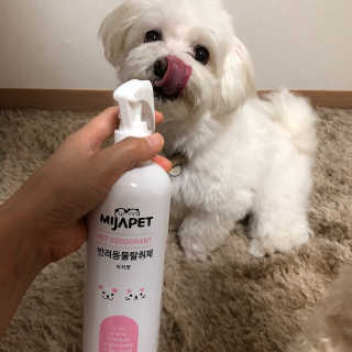 규빈띵쏘님이 올린 리뷰 사진 4