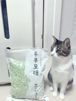 글라라5205님이 올린 리뷰 사진 1