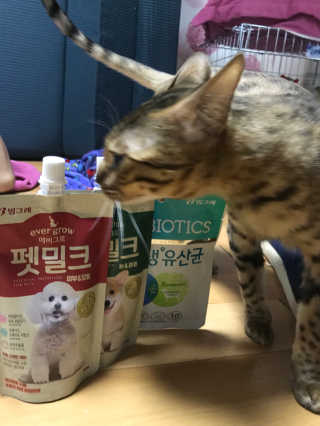 [빙그레] 에버그로 생유산균 1봉（10포입）+펫밀크2팩 — 3점을 준 리뷰어가 2019년 5월 올린 사용 사진