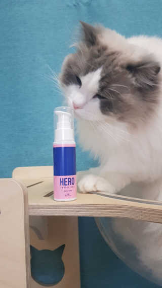 라머루님이 올린 리뷰 사진 1