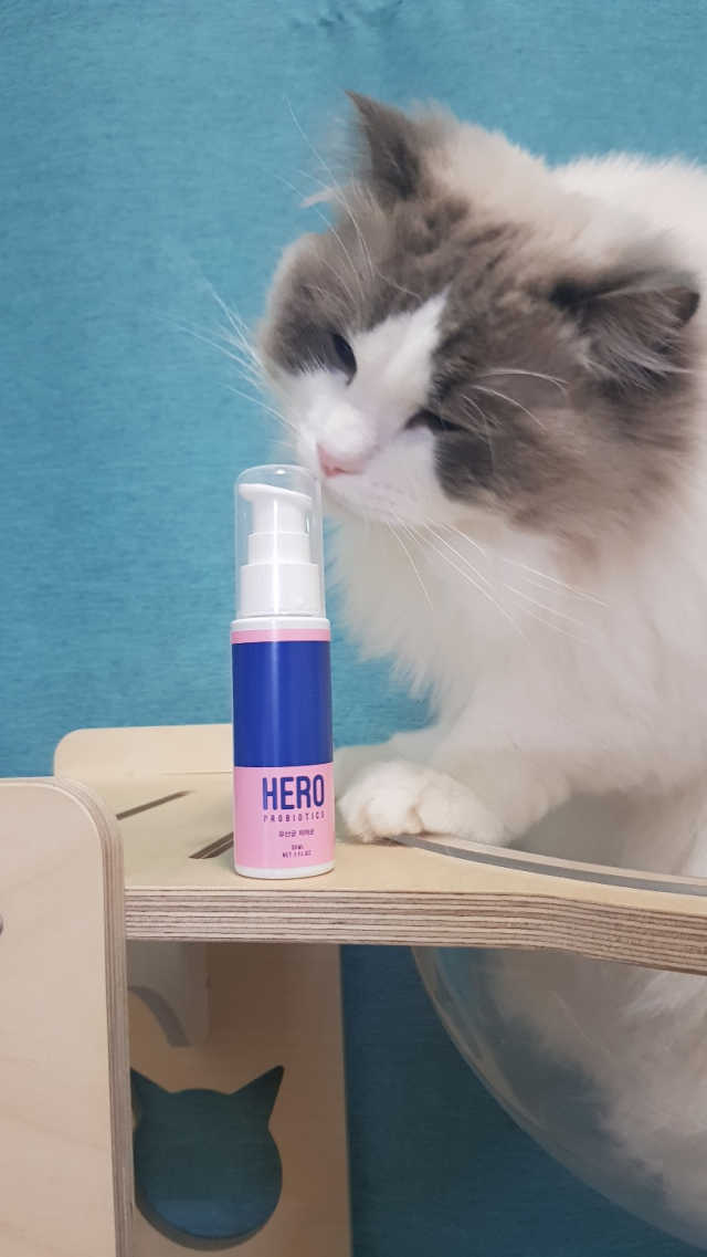 HERO 리뷰 사진