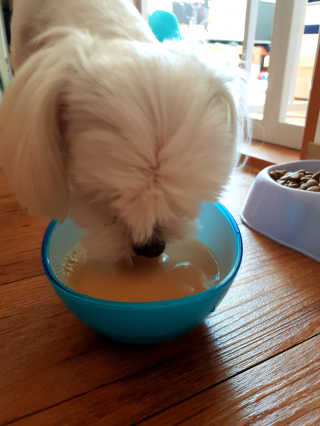 우진맘님이 올린 리뷰 사진 3