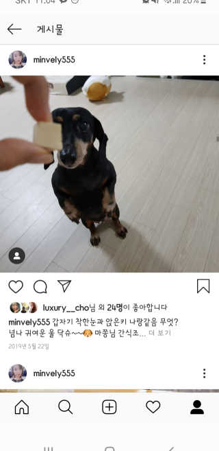 펫프렌즈 [단백질풍부] 無첨가 닭가슴살 100퍼센트 촉촉트릿 치킨 — 4.5점을 준 리뷰어가 2020년 1월 올린 사용 사진
