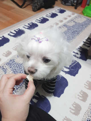 두부님이 올린 리뷰 사진 4