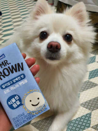 연보라님이 올린 리뷰 사진 3