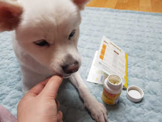 sys님이 올린 리뷰 사진 2