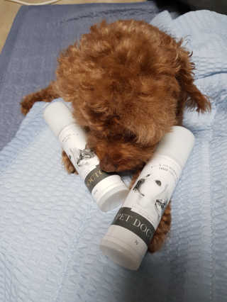 윤수하련님이 올린 리뷰 사진 1