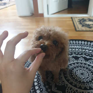 유나님이 올린 리뷰 사진 1