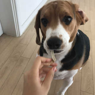 0929님이 올린 리뷰 사진 2