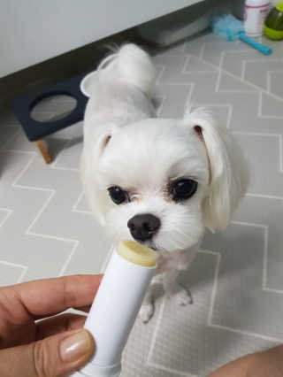 나란여자🤦‍♀️🤷‍♀️💁‍♀️님이 올린 리뷰 사진 3