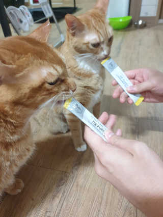 강미주님이 올린 리뷰 사진 3