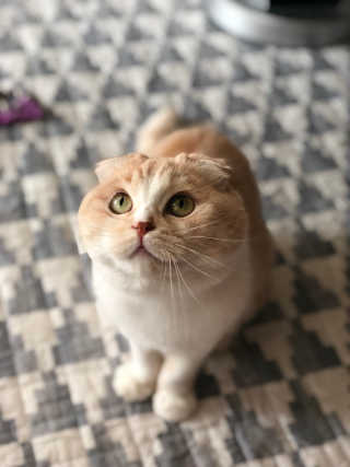띠띠님이 올린 리뷰 사진 3