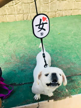 쏭님이 올린 리뷰 사진 2