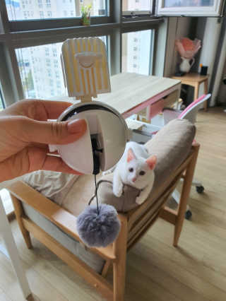 엔제루님이 올린 리뷰 사진 2
