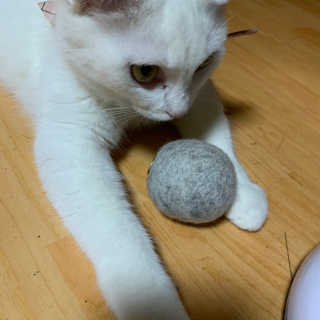 쮸야님이 올린 리뷰 사진 2