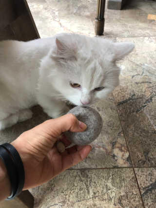 min0님이 올린 리뷰 사진 4