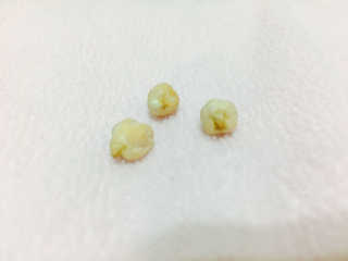 JJyeon님이 올린 리뷰 사진 3