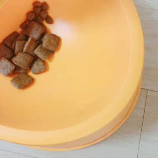 랑이님이 올린 리뷰 사진 2