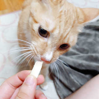 르네링님이 올린 리뷰 사진 1
