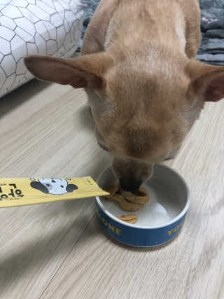 [펫토리아] 강아지,고양이겸용 짜먹는 한입뚝딱 — 5점을 준 리뷰어가 2019년 1월 올린 사용 사진
