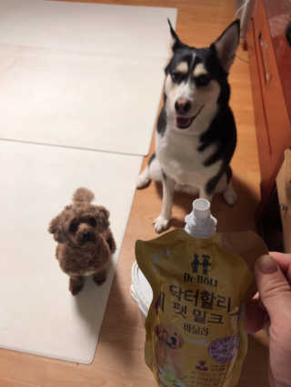 닥터할리펫밀크 8종 — 5점을 준 리뷰어가 2019년 9월 올린 사용 사진