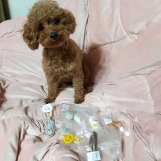 seni님이 올린 리뷰 사진 1