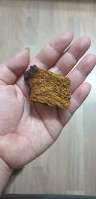 오즈맘님이 올린 리뷰 사진 2
