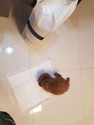 띠옹이님이 올린 리뷰 사진 3