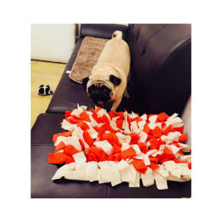 SolheeNamgoong님이 올린 리뷰 사진 1