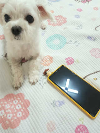 박수인님이 올린 리뷰 사진 4
