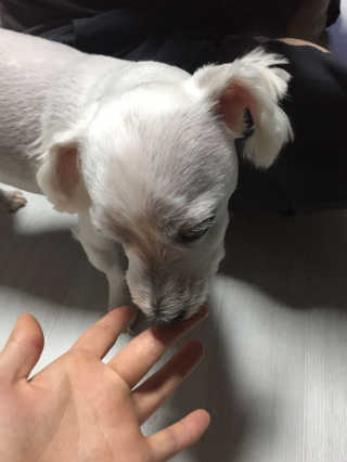 daillly님이 올린 리뷰 사진 2