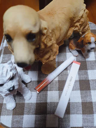 페티앙님이 올린 리뷰 사진 1