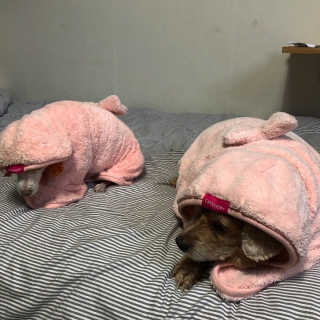 은지짱님이 올린 리뷰 사진 3