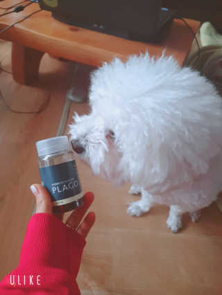 강콩맘님이 올린 리뷰 사진 2