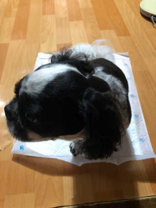 티케님이 올린 리뷰 사진 3