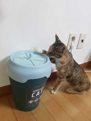gajete님이 올린 리뷰 사진 2