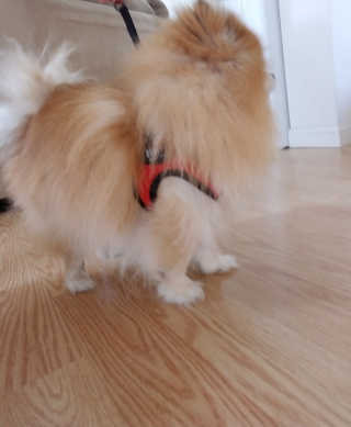 shirleyvee님이 올린 리뷰 사진 1