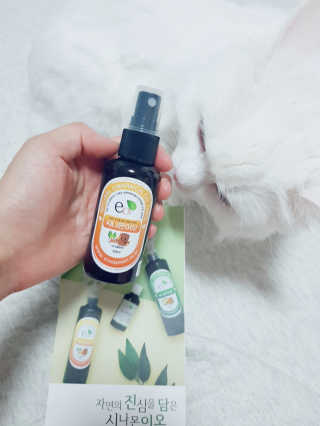 논지님이 올린 리뷰 사진 1