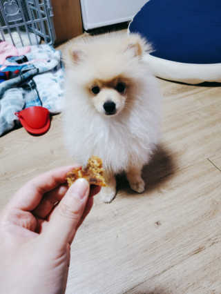 으콩님이 올린 리뷰 사진 4