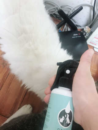 김화안님이 올린 리뷰 사진 4