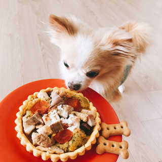욜랭이님이 올린 리뷰 사진 2