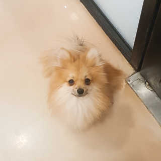 보리님이 올린 리뷰 사진 1