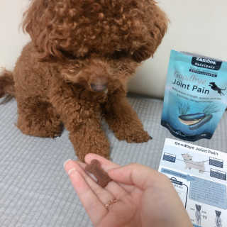 잠보아 뉴트리페어 굿바이 조인트페인 — 4점을 준 리뷰어가 2019년 12월 올린 사용 사진