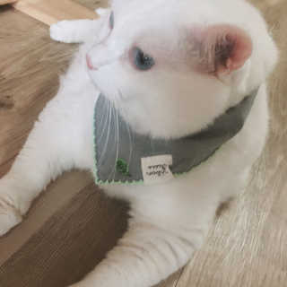 정선님이 올린 리뷰 사진 1