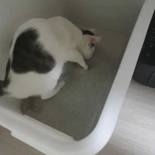 이째님이 올린 리뷰 사진 3