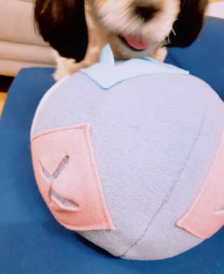 heimish님이 올린 리뷰 사진 4