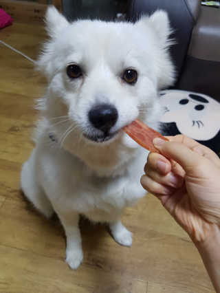 쪼꼬밍💖님이 올린 리뷰 사진 3