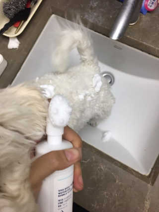 JuhoYoon님이 올린 리뷰 사진 3